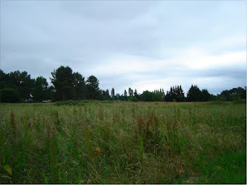 terrain à Saint-Michel-de-Double (24)