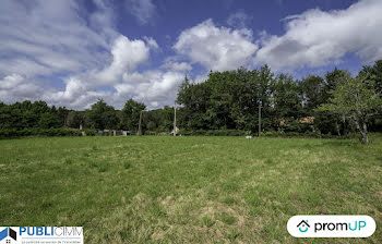 terrain à Saint-Junien (87)