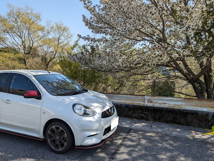 アテンザの桜とコラボ・サクラと愛車に関するカスタム事例の投稿画像4枚目