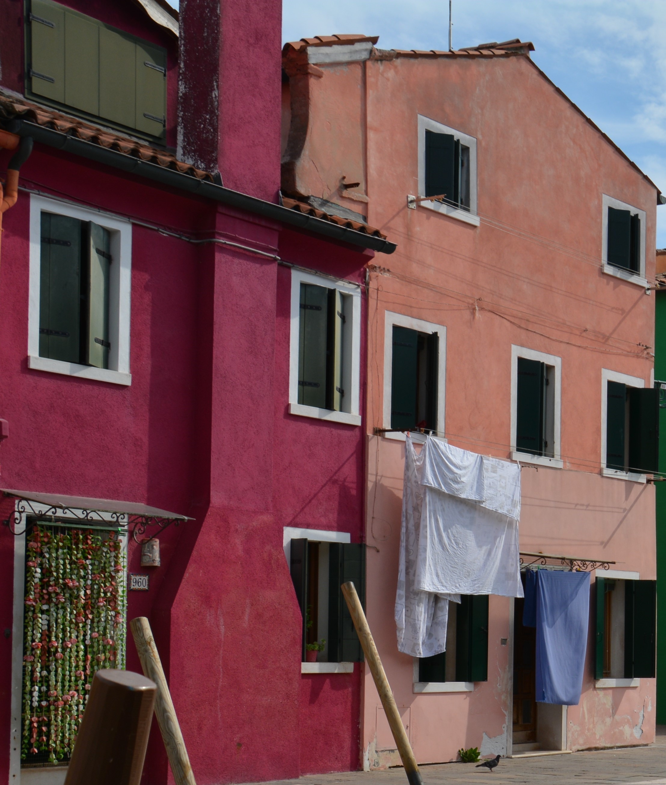 Sul rosa il bianco. di verisi