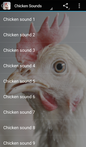 Screenshot Chicken Sounds