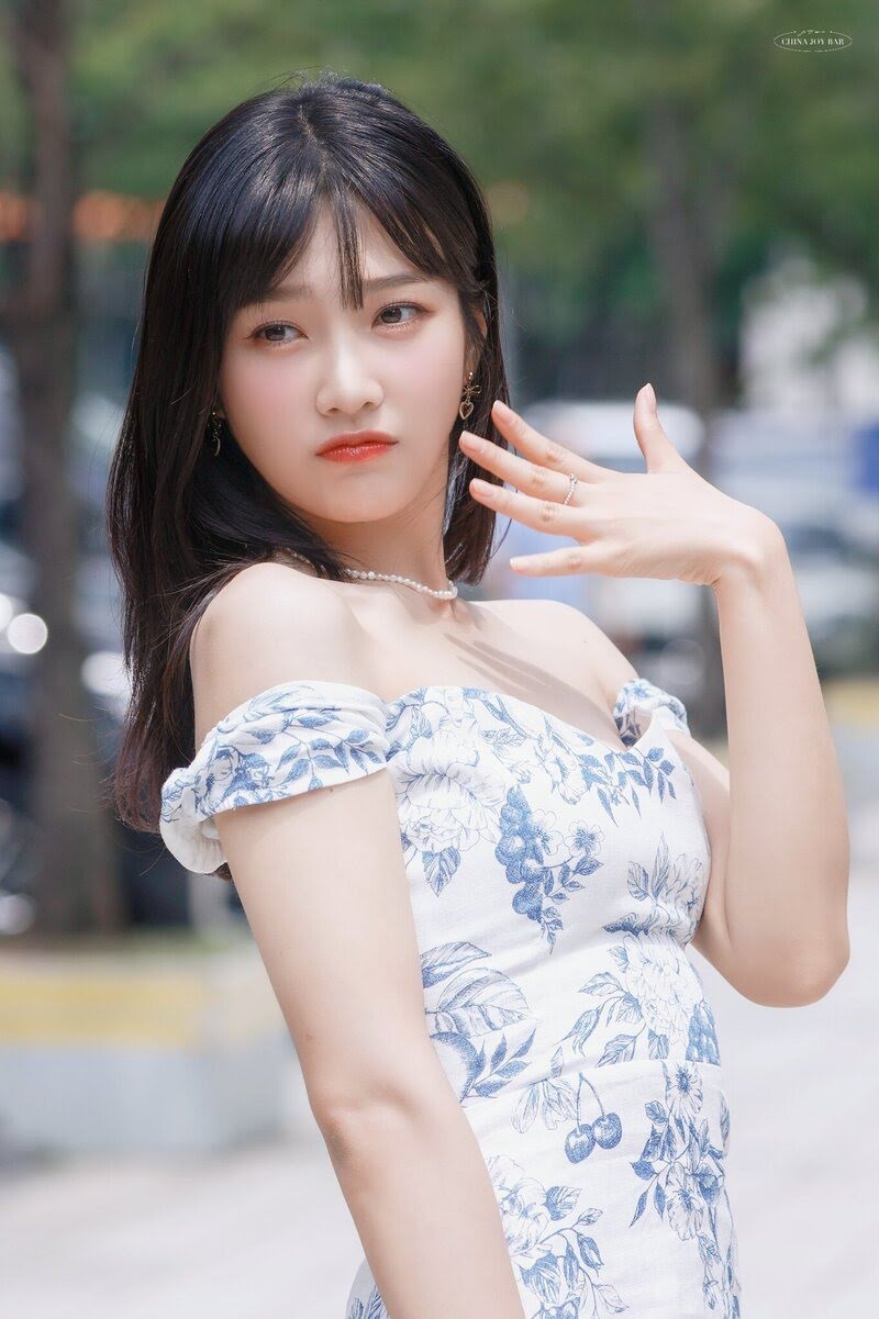 220720-Red-Velvet-Joy-Animal-Farm-Commute-documents-9