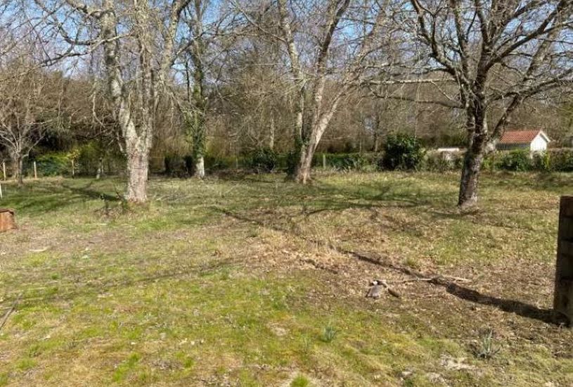  Vente Terrain + Maison - Terrain : 450m² - Maison : 65m² à Le Taillan-Médoc (33320) 