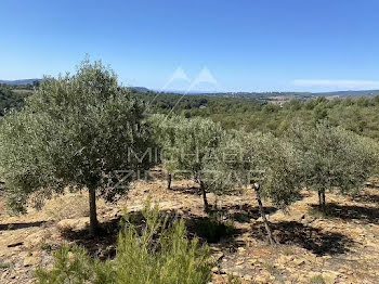 terrain à Bandol (83)