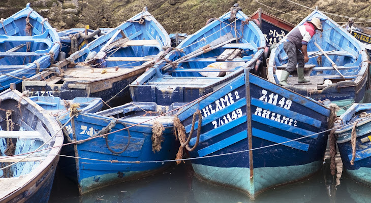 Blu come il mare, blu come il legno di LoryNes