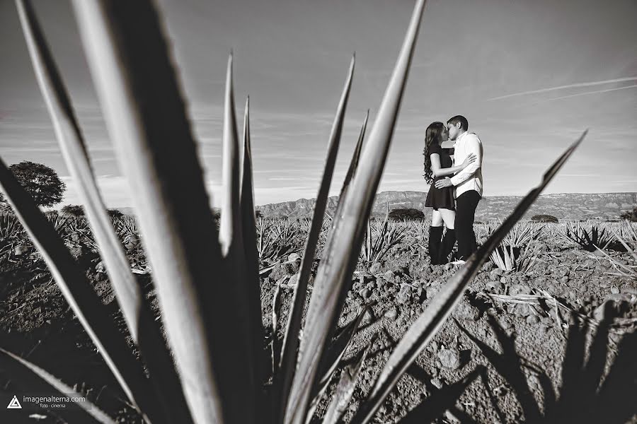 Fotógrafo de casamento David Casa (imagenalterna). Foto de 9 de março 2018