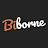 Biborne Manager icon