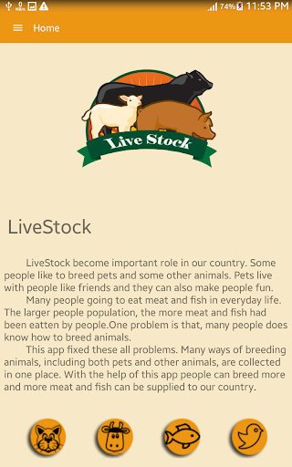 Live Stock