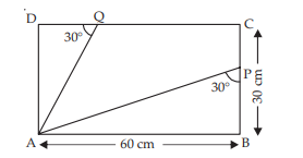 Trigonometric Ratios