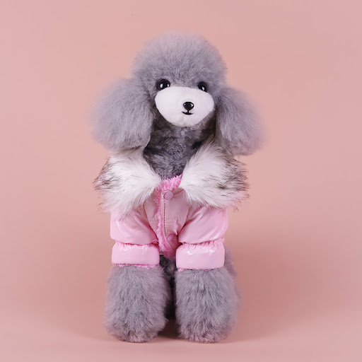 Title 3, Puppy Cute Padded Down Jacket Keeps Warm In Win...