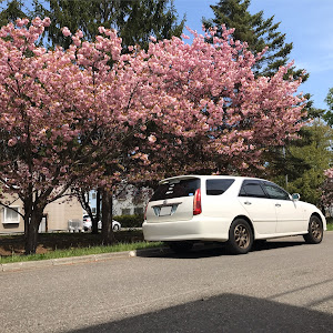 マークIIブリット JZX115W