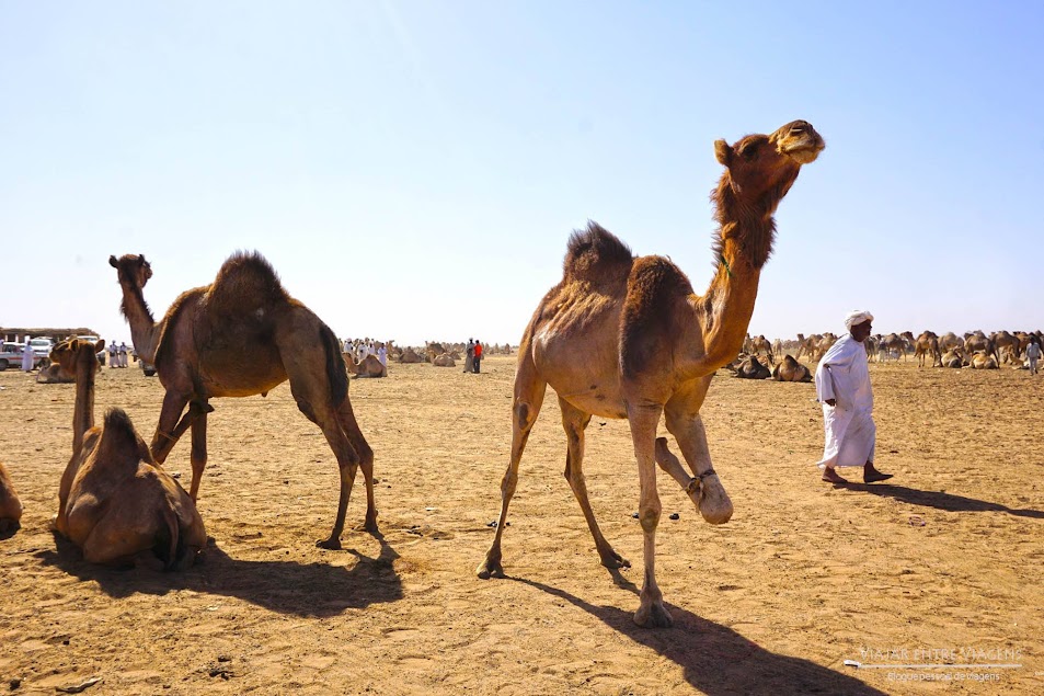 DIA 8 - Os segredos escondidos de Cartum e Omdurman - Crónicas de Viagem | SUDÃO