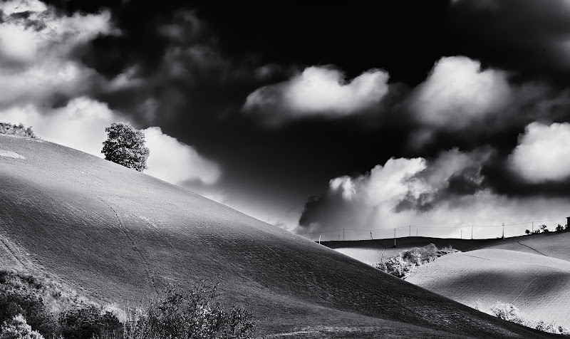 Paesaggio in bianco e nero. di CarloBassi