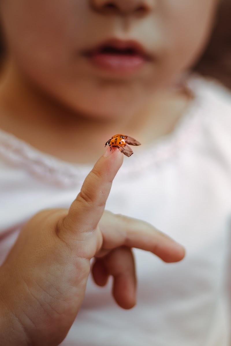 Pura meraviglia di Valeria De Vita fotografia 