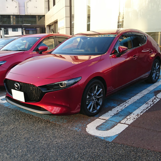 大将のプロフィール画像