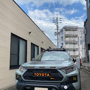 RAV4 MXAA54