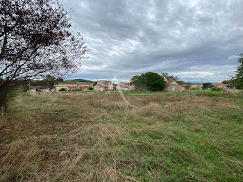 terrain à Bessières (31)