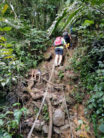 Gunung Nuang via Pangsun Hiking Trail