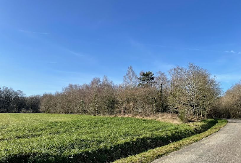  Vente Terrain à bâtir - 11 290m² à Guer (56380) 