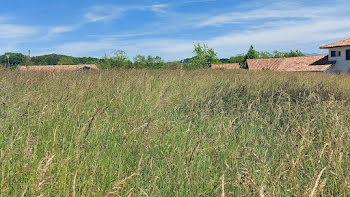 terrain à batir à Arcangues (64)