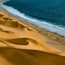 Golden sand beach on the sea