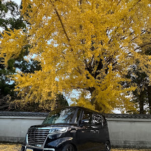 スペーシアカスタム MK53S
