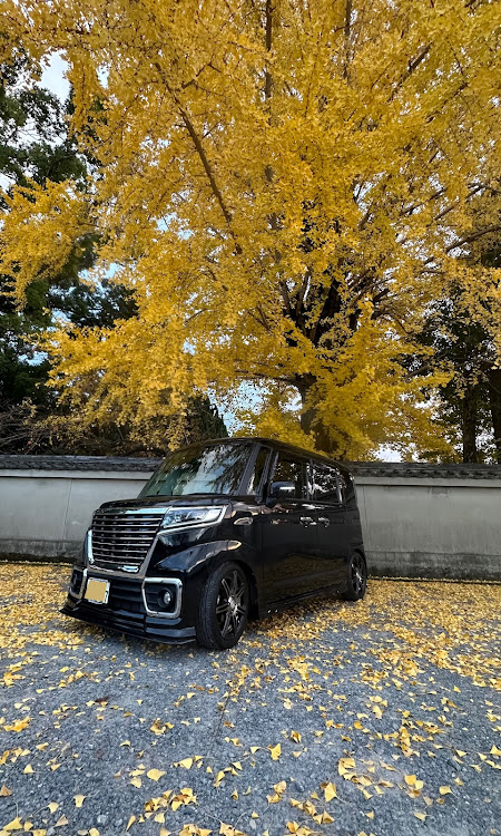 スペーシアカスタムの2023ベストショット11月・いつもイイね&コメントありがとうございます(｡ᵕᴗᵕ｡)♪に関するカスタム事例の投稿画像1枚目