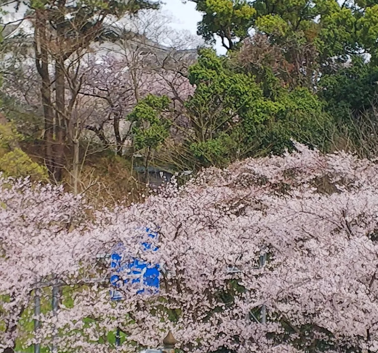 の投稿画像9枚目