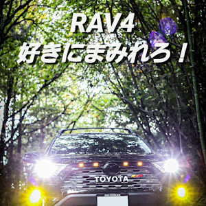 RAV4 AXAH54