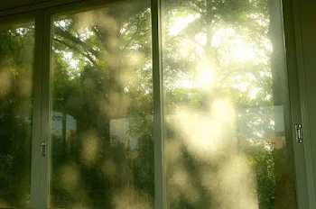 君が大切だから