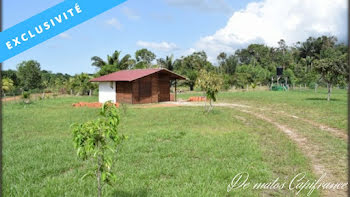 maison à Kourou (973)