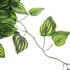 miniatures image - 2