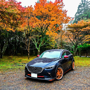 CX-3 DKEFW