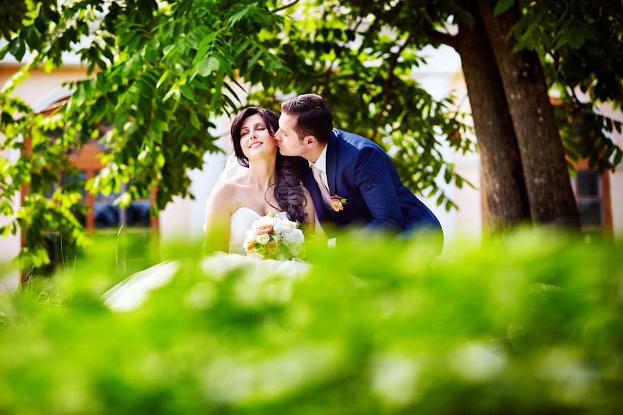 Fotógrafo de bodas Sergey Shaltyka (sergey1978). Foto del 21 de septiembre 2016