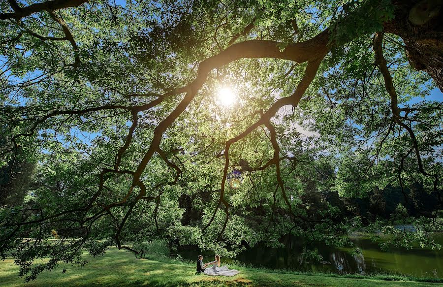 Fotograful de nuntă Artem Danilov (alkor2206). Fotografia din 2 iulie 2019