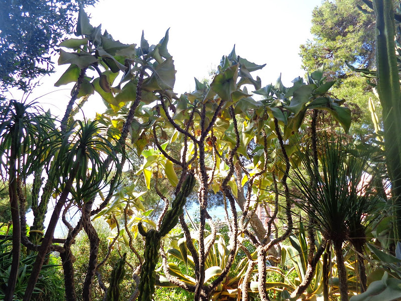 Круиз Azamara Quest, апрель 2014: удивительный кайфой круиз удивительных встреч форумчан