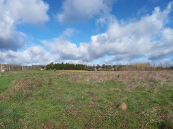 terrain à Busque (81)