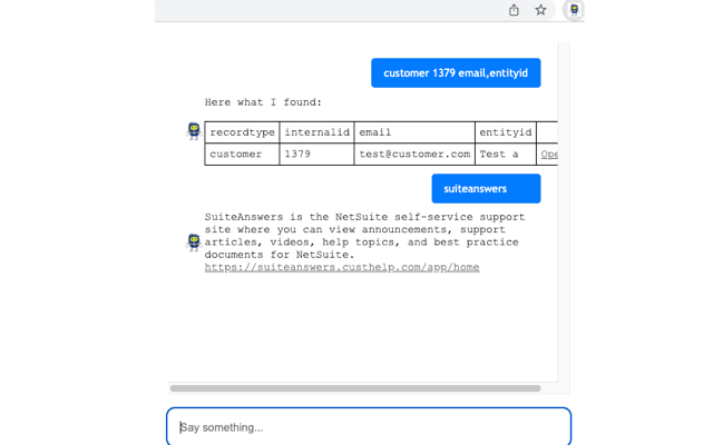 NetSuite ChatBot Preview image 0