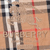 supreme®/burberry® regular jean ss22