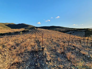 terrain à Montner (66)