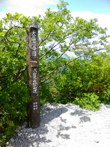 大山夏山登山道六号目