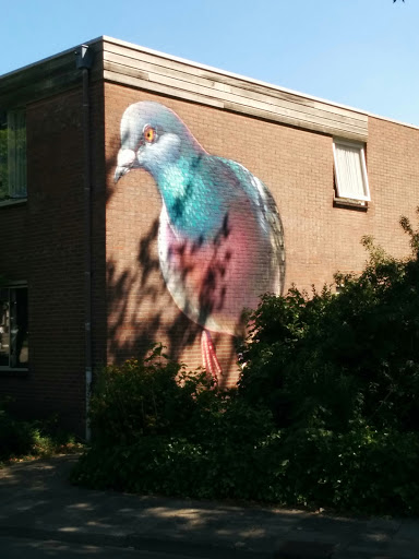 Mural Pigeon