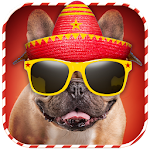 Cover Image of Télécharger Dog Dress Up Photo Montage 7.0 APK