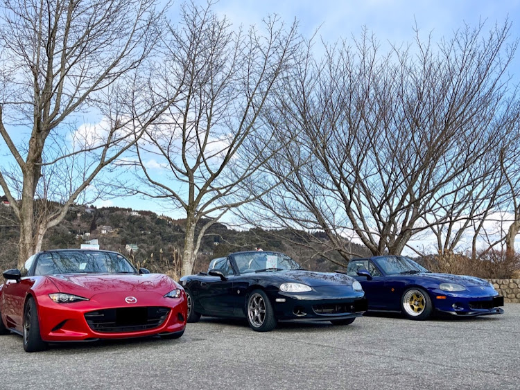 ロードスターの六甲山・呑吐ダム・金ホイ・JET STREAM・うちのワンコに関するカスタム事例の投稿画像3枚目