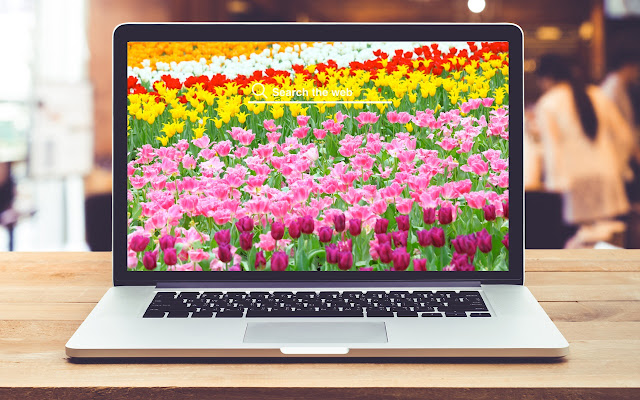 Spring Flowers HD Wallpapers Background Theme