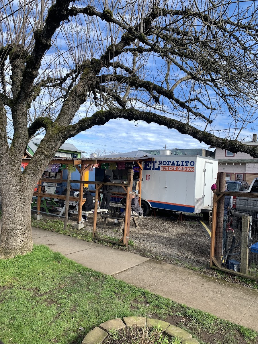 El Nopalito Food Truck across from Ninkasi. This food cart pod also has a sushi truck, coffee truck among others.