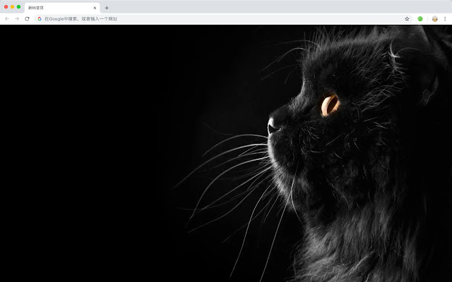 Cat New Tab Page HD Wallpapers Pop Pets Theme