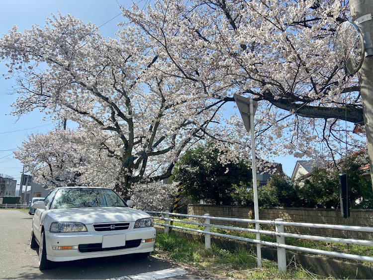 の投稿画像4枚目