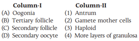 Differentiation of Gametes