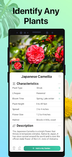 Screenshot PictureThis - Plant Identifier